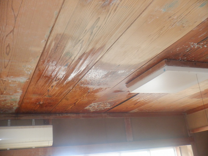 雨漏れが起こって天井が濡れている写真