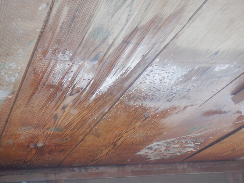雨漏れが起こり天井が濡れている　拡大写真