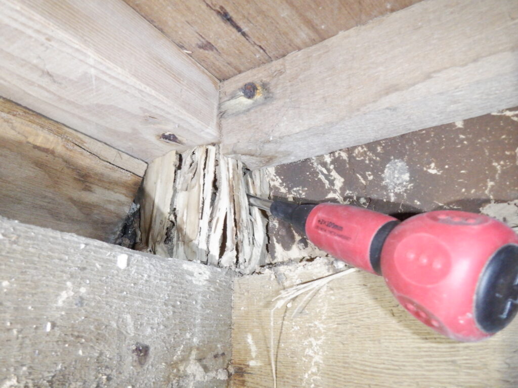 シロアリの被害箇所