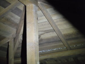 小屋裏の雨漏りしている様子を撮った写真