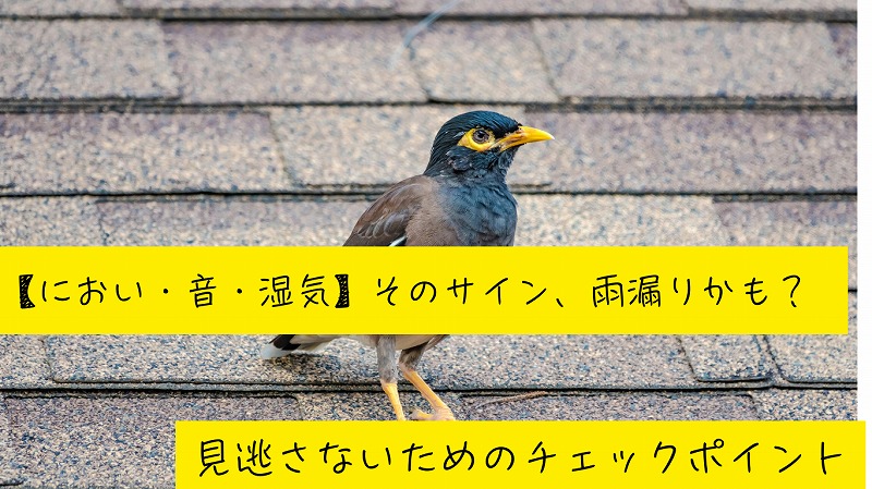 【におい・音・湿気】そのサイン、雨漏りかも？見逃さないためのチェックポイント