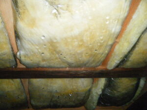 床下のグラスウール断熱材の表面に水滴が付いている様子（結露）