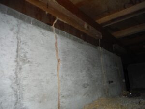 床下の基礎をつたってシロアリが蟻道を作って木材まで到達している写真