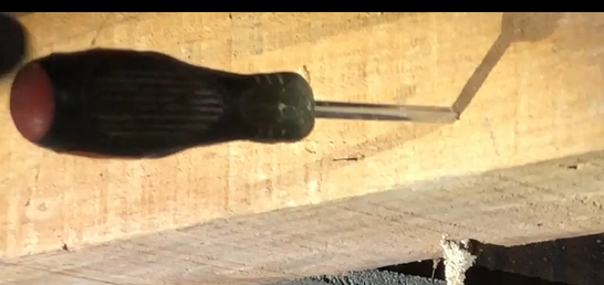 シロアリ被害のある木材にドライバーを刺している画像