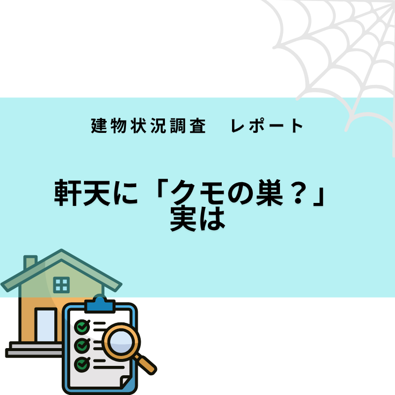 【建物状況調査】軒天に「クモの巣？」実は塗膜の浮きと微細なヒビ割れ