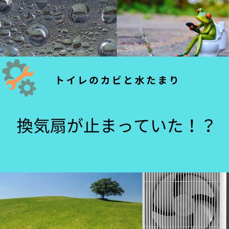 【トイレのカビと水たまり】換気扇が止まっていた⁉