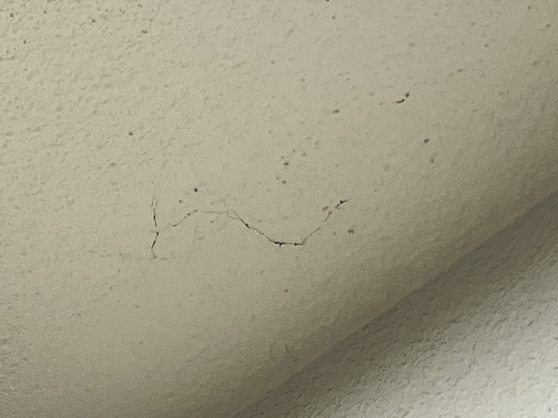 軒天　塗膜のヒビ　拡大