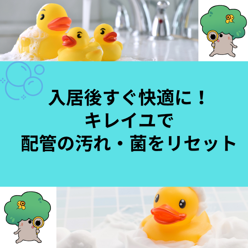 中古住宅購入前に「追い焚き配管洗浄」をおすすめする理由～入居後すぐ快適に！キレイユで配管の汚れ・菌をリセット～